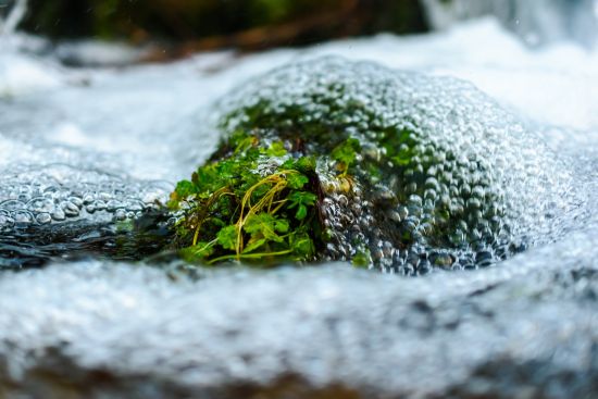 staxmiphoto razno40.0 mm f 2.8nikon corporationnikon d56002025 01 11 16 42