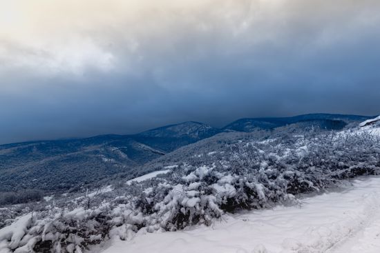 staxmiphoto raznotamron 10 24mm f3.5 4.5 diii vc hld b023nnikon corporationnikon d56002024 12 26 13 59