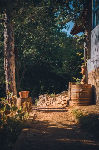 staxmiphoto sokobanja 23 08 24 218 41