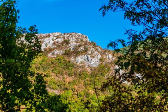 staxmiphoto sokobanja 28 08 24 21 083