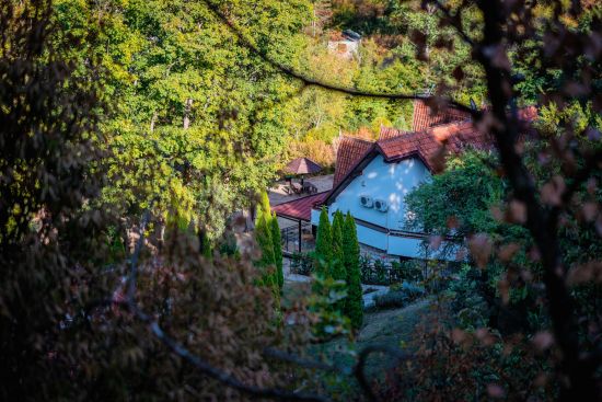staxmiphoto sokobanja8 0841 09 08