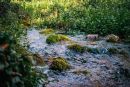 staxmiphoto sokobanja 40.0 mm f 2.8nikon corporationnikon d56002024 11 03 18 15